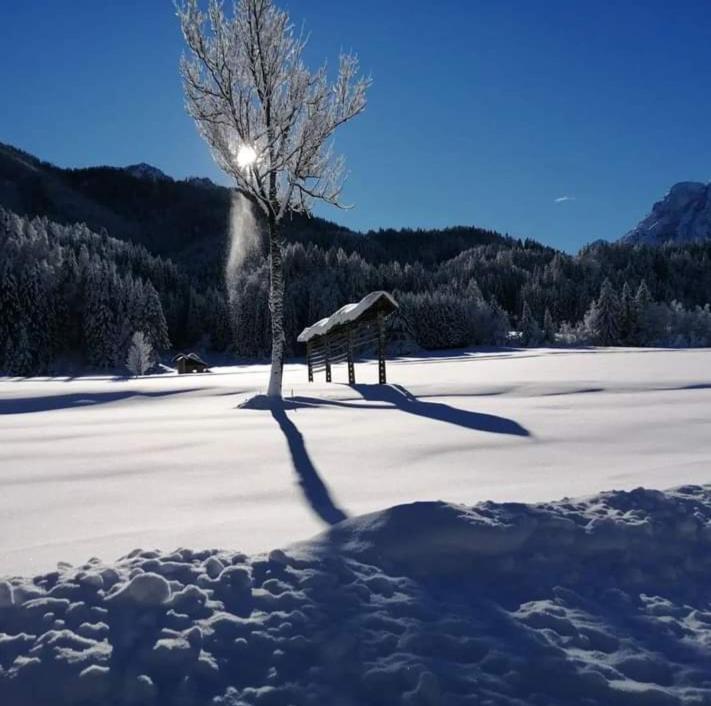 Apartments Podkoren 82 Kranjska Gora Buitenkant foto