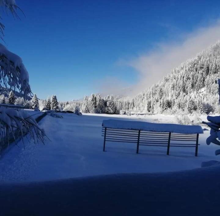 Apartments Podkoren 82 Kranjska Gora Buitenkant foto
