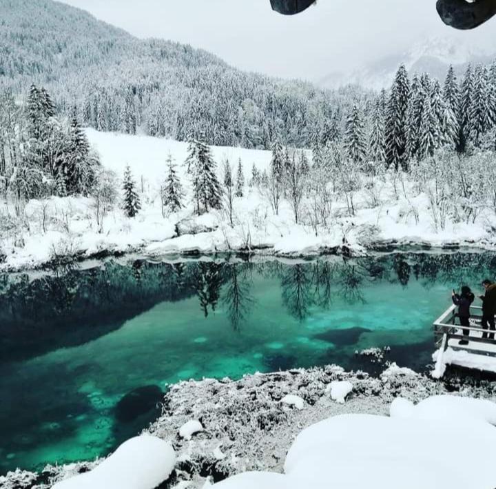 Apartments Podkoren 82 Kranjska Gora Buitenkant foto